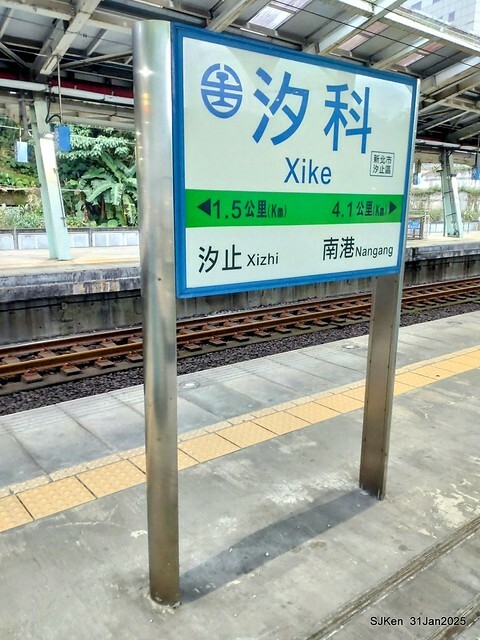 2025雙北平地賞櫻第四拍( --- 汐止文化櫻花季康誥溪櫻花大道(Cherry Blossoms at the creekside of Kangau creek), Hsingi district, Hsinpei city, SJKen, Jan 31, 2025.