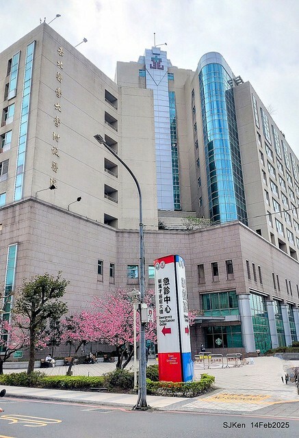 2025 雙北平地賞櫻系列第五拍 --- 北醫附設醫院櫻花(Cherryblossoms at Taipei Medical University Hospital), Taipei, Taiwan, SJKen, Feb 14, 2024. 2025 雙北平地賞櫻系列第五拍 --- 北醫附設醫院櫻花(Cherryblossoms at Taipei Medical University Hospital), Taipei, Taiwan, SJKen, Feb 14, 2024.