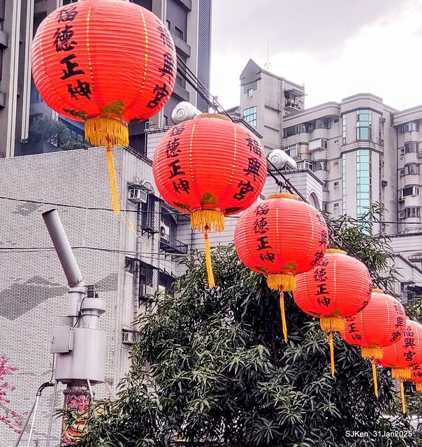 2025雙北平地賞櫻第四拍( --- 汐止文化櫻花季康誥溪櫻花大道(Cherry Blossoms at the creekside of Kangau creek), Hsingi district, Hsinpei city, SJKen, Jan 31, 2025.