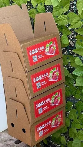 IMG_9781.jpg IMG_9781.jpg