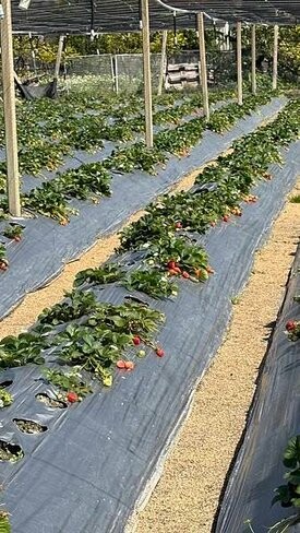 IMG_9764.jpg IMG_9764.jpg