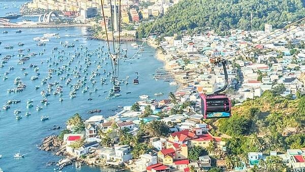 IMG_5594.jpg IMG_5594.jpg