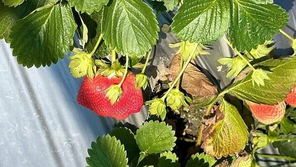 IMG_9774.jpg IMG_9774.jpg