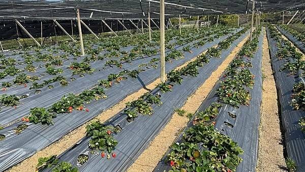 IMG_9766.jpg IMG_9766.jpg