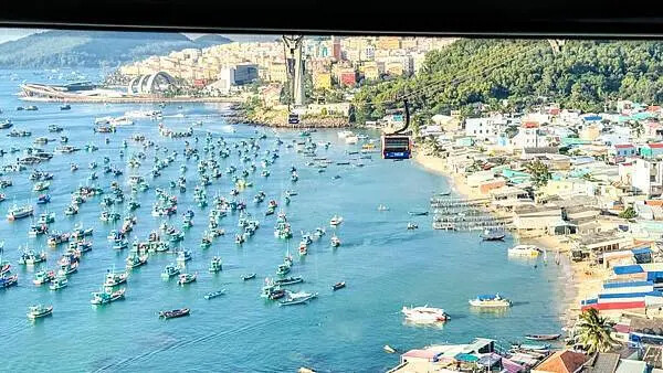 IMG_5602.jpg IMG_5602.jpg