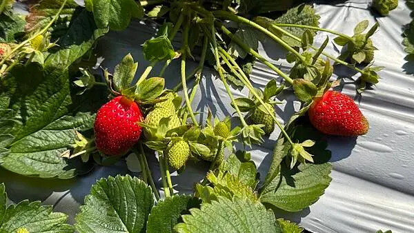 IMG_9760.jpg IMG_9760.jpg