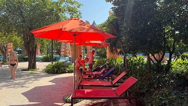 IMG_5540.jpg IMG_5540.jpg