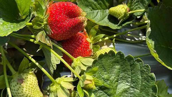 IMG_9758.jpg IMG_9758.jpg