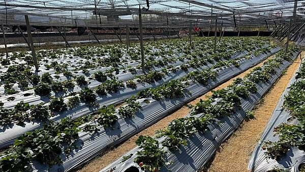 IMG_9777.jpg IMG_9777.jpg