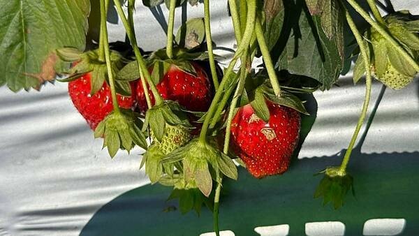 IMG_9776.jpg IMG_9776.jpg