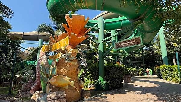 IMG_5515.jpg IMG_5515.jpg