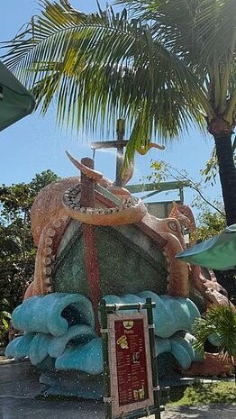 IMG_5531.jpg IMG_5531.jpg