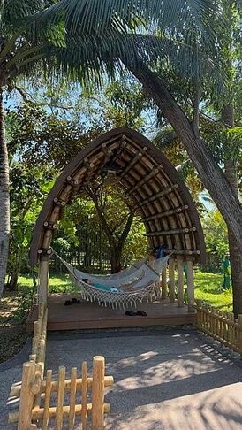 IMG_5499.jpg IMG_5499.jpg