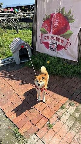 IMG_9788.jpg IMG_9788.jpg