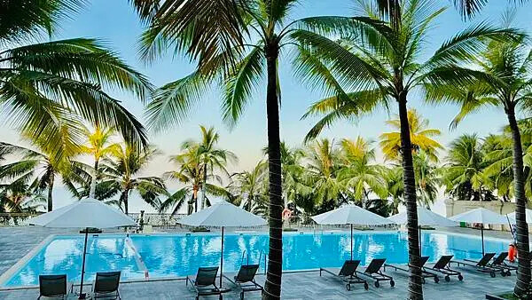 IMG_6372 (1).jpg IMG_6372 (1).jpg