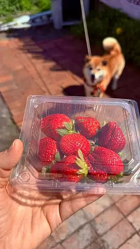 IMG_9786.jpg IMG_9786.jpg