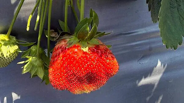 IMG_9761.jpg IMG_9761.jpg