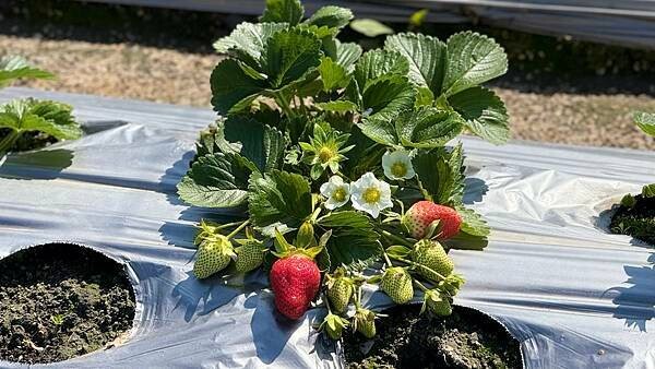 IMG_9768.jpg IMG_9768.jpg