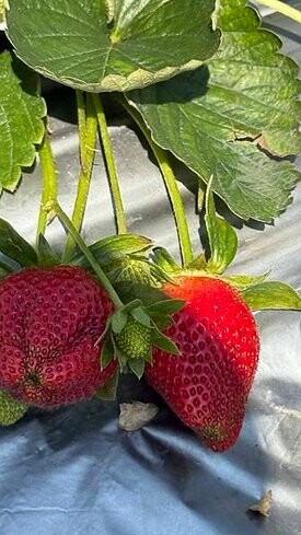 IMG_9770.jpg IMG_9770.jpg