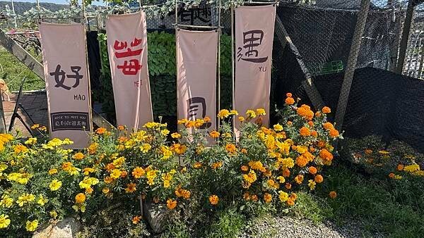 IMG_9747.jpg IMG_9747.jpg