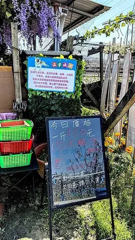 IMG_9749.jpg IMG_9749.jpg