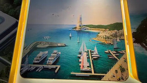 IMG_5398.jpg IMG_5398.jpg