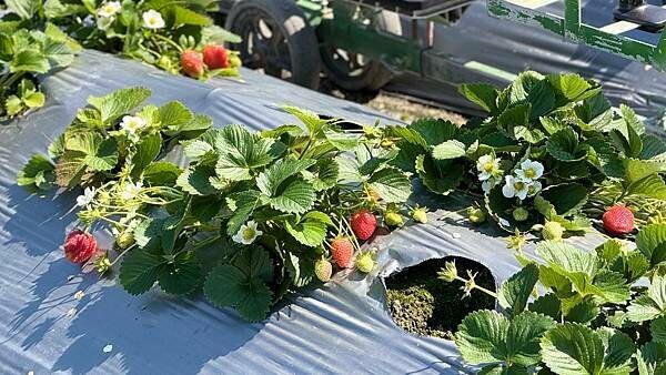 IMG_9769.jpg IMG_9769.jpg