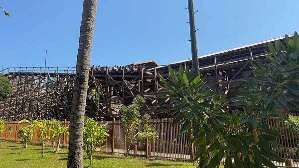 IMG_5458.jpg IMG_5458.jpg