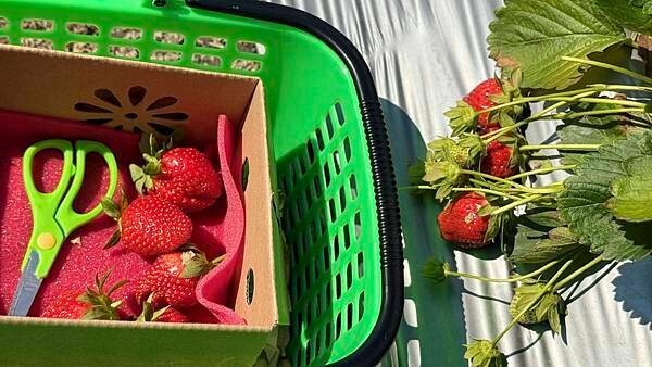 IMG_9775.jpg IMG_9775.jpg