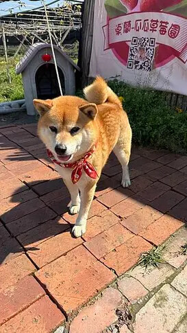 IMG_9787.jpg IMG_9787.jpg