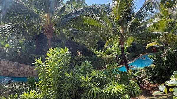 IMG_5512.jpg IMG_5512.jpg