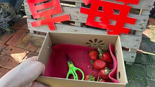 IMG_9779.jpg IMG_9779.jpg