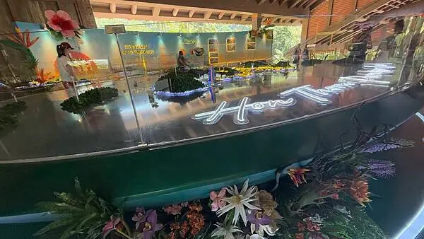 IMG_5394.jpg IMG_5394.jpg