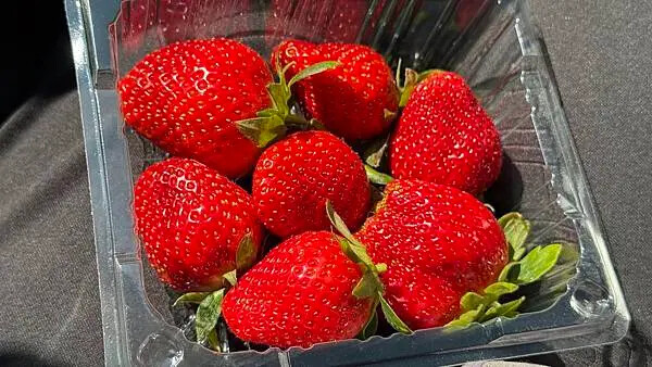 IMG_9793.jpg IMG_9793.jpg