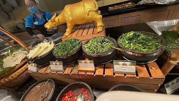 IMG_5482.jpg IMG_5482.jpg