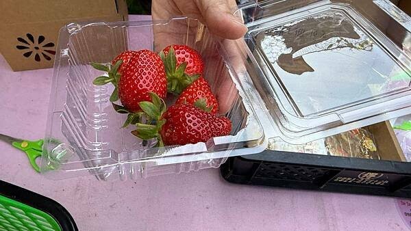 IMG_9785.jpg IMG_9785.jpg