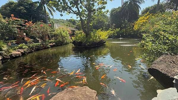 IMG_5411.jpg IMG_5411.jpg