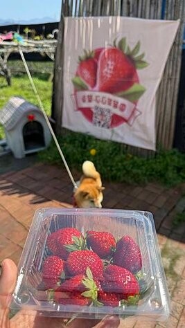 IMG_9789.jpg IMG_9789.jpg