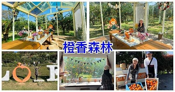 IMG_2333.JPG IMG_2333.JPG