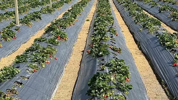 IMG_9763.jpg IMG_9763.jpg