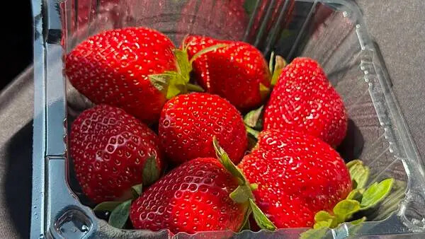 IMG_9792.jpg IMG_9792.jpg