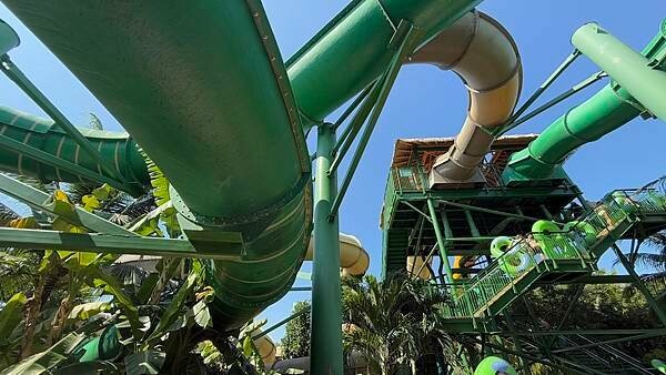 IMG_5518.jpg IMG_5518.jpg