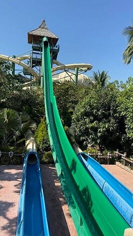 IMG_5551.jpg IMG_5551.jpg