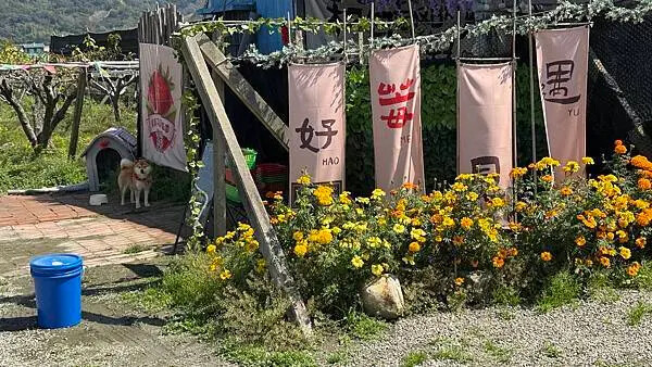 IMG_9791.jpg IMG_9791.jpg