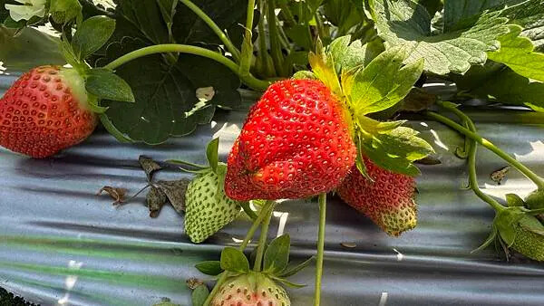 IMG_9752.jpg IMG_9752.jpg