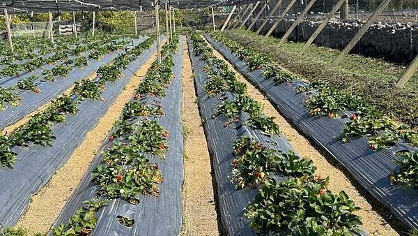 IMG_9765.jpg IMG_9765.jpg