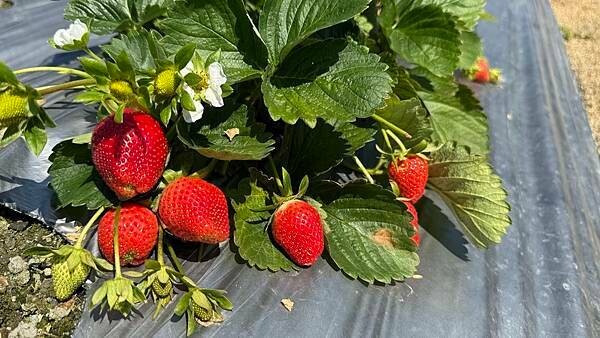 IMG_9767.jpg IMG_9767.jpg