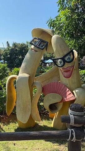 IMG_5503.jpg IMG_5503.jpg