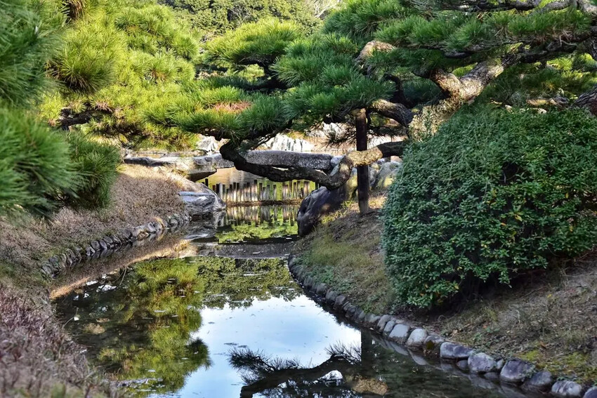 雄獅旅遊｜日本四國雙鐵道六天五夜行程推薦 伊予灘夕陽列車&千
