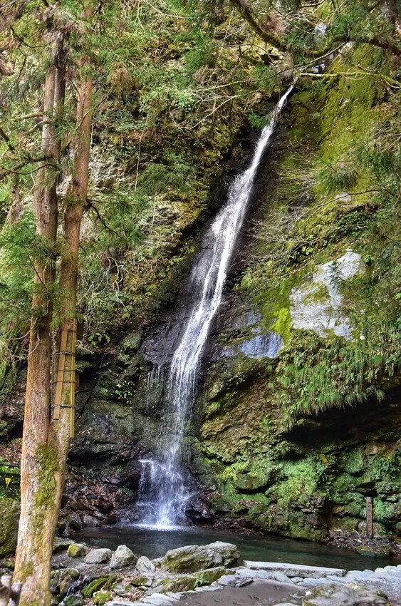 德島三好市|祖谷葛藤橋 隱藏於山谷之間的神秘境地 橫跨祖谷川發現德島祖谷的原始樣貌|西莉亞玩樂人生 雄獅旅遊|祖谷秘境葛藤橋
